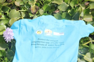 The T-Shirt on the water hyacinth
