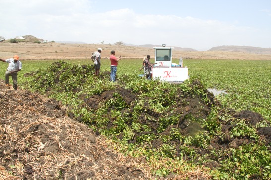 Photo of effort to remove water hyacinth with machine