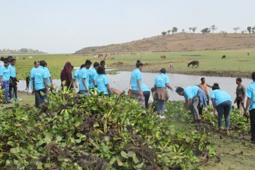 Participants removing water hyacinth by hand