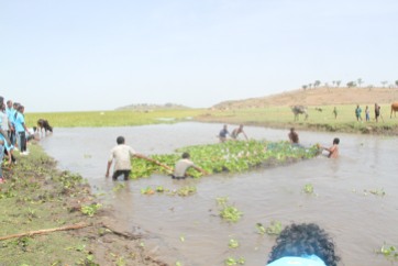 Removing water hyacinth by special net