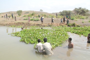 Removing water hyacinth using special net